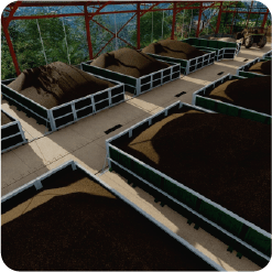 Pila Mixta 300 ton/mes