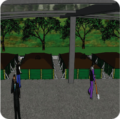 Pila Mixta 80 ton/mes