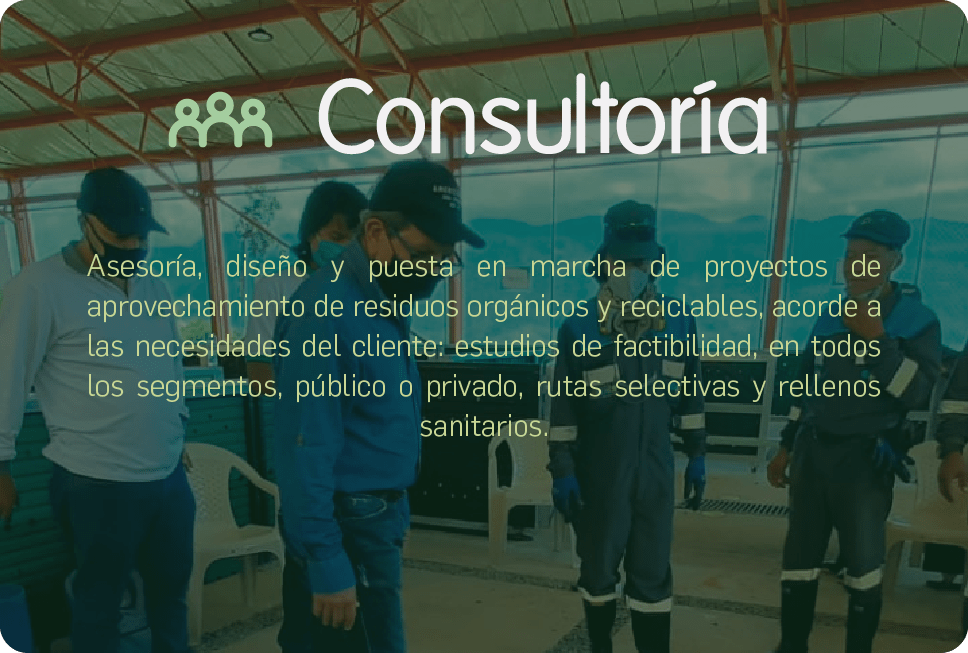 CONSULTORÍA